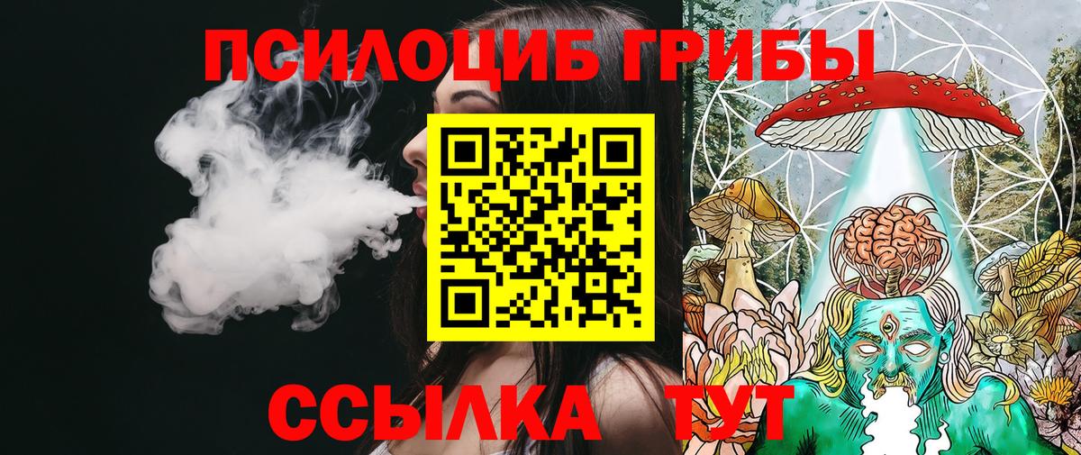 Псилоцибиновые грибы Cubensis Карачаевск